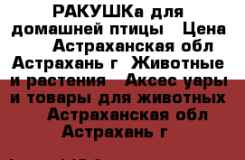 РАКУШКа для домашней птицы › Цена ­ 10 - Астраханская обл., Астрахань г. Животные и растения » Аксесcуары и товары для животных   . Астраханская обл.,Астрахань г.